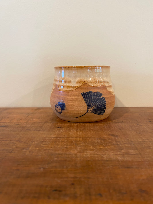 Cacao Bowl Ginkgo Haystack